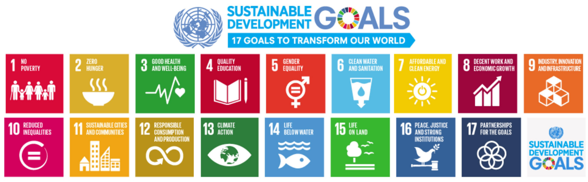 SDG (1)